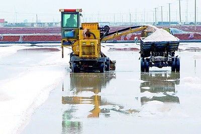 昔日鹽堿灘，今日聚寶盆 漁業(yè)機械化繪就生態(tài)富民新圖景